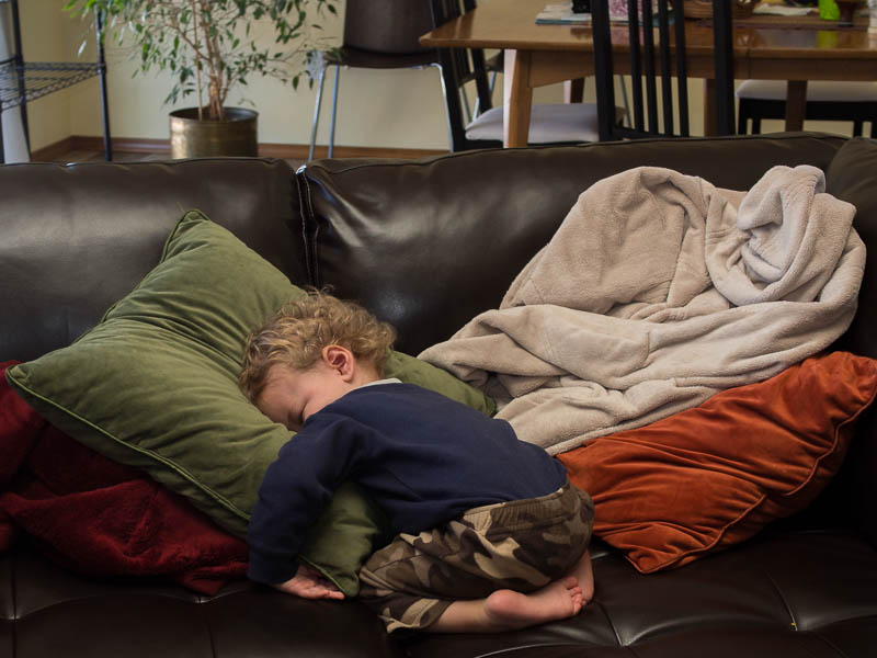 Owen - Sleeping - Fever - Couch