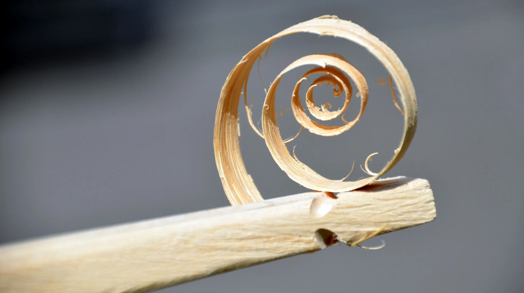 Holzbogen-bauen-Detail-Esche.jpg