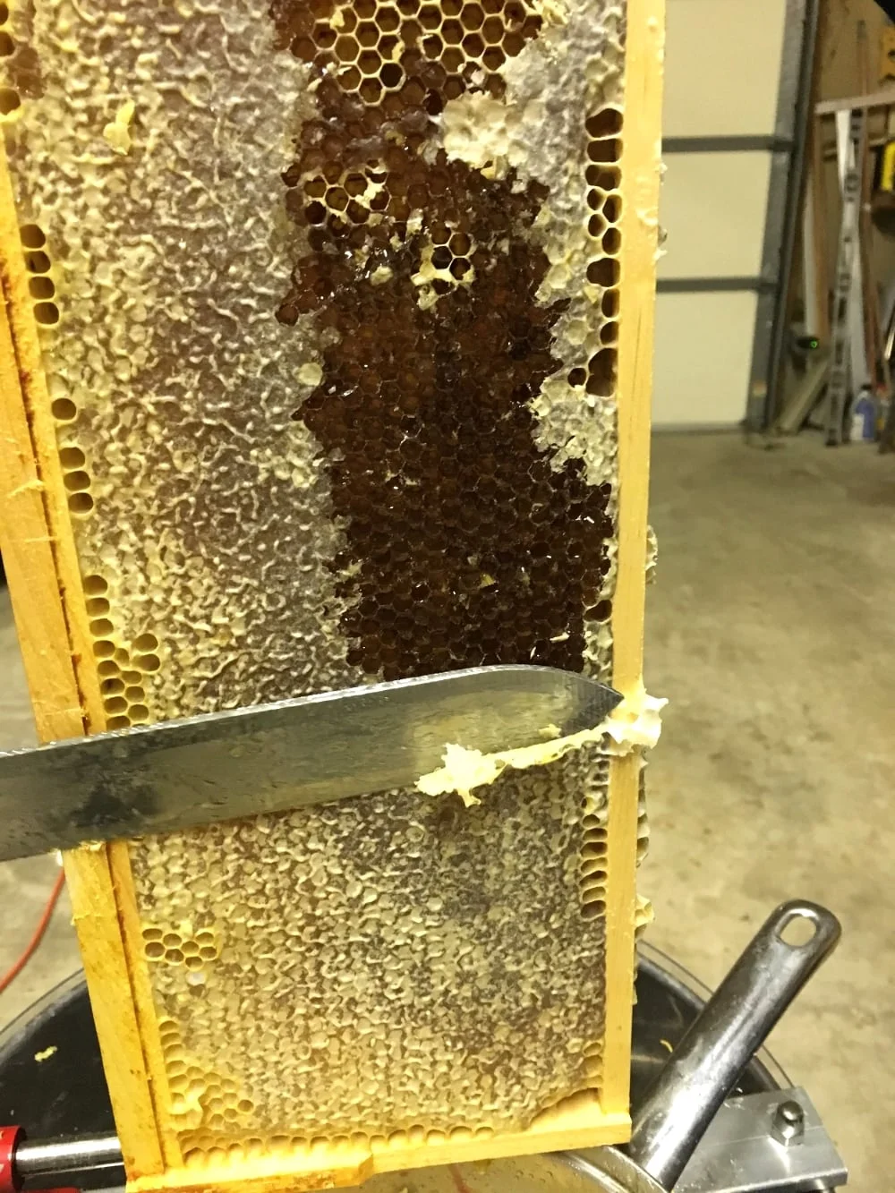 Here is one of the frames from our hives. Look at all of that wax and honey!!! It's the little things in life that make me happy, and a giant metal centrifuge full of honey is definitely one of them.