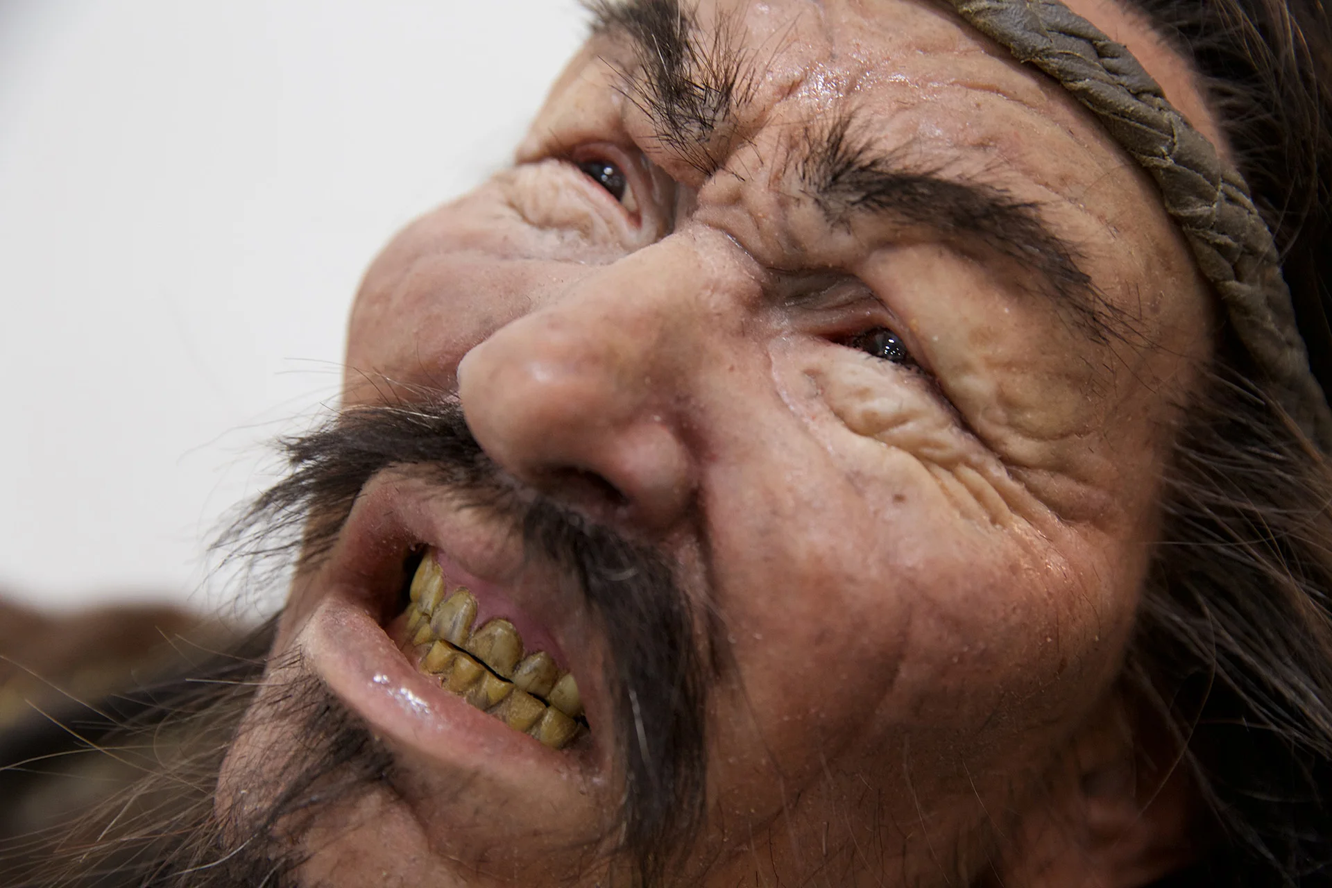 bkgface.jpg