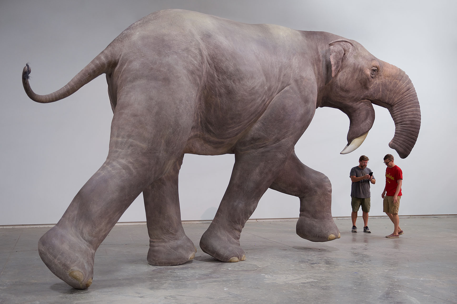 Самый тяжелый слон. Динотерий и мастодонт. Слон Динотерий. Мамонт мастодонт и слон. Динотерии мастодонты, мамонты.