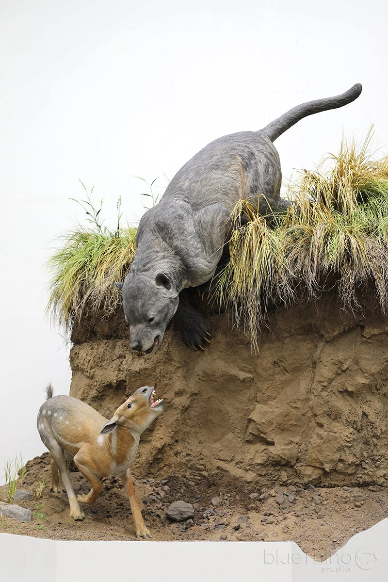 Royal Tyrrell Museum | Miocene and Paleocene Dioramas — Blue Rhino Studio