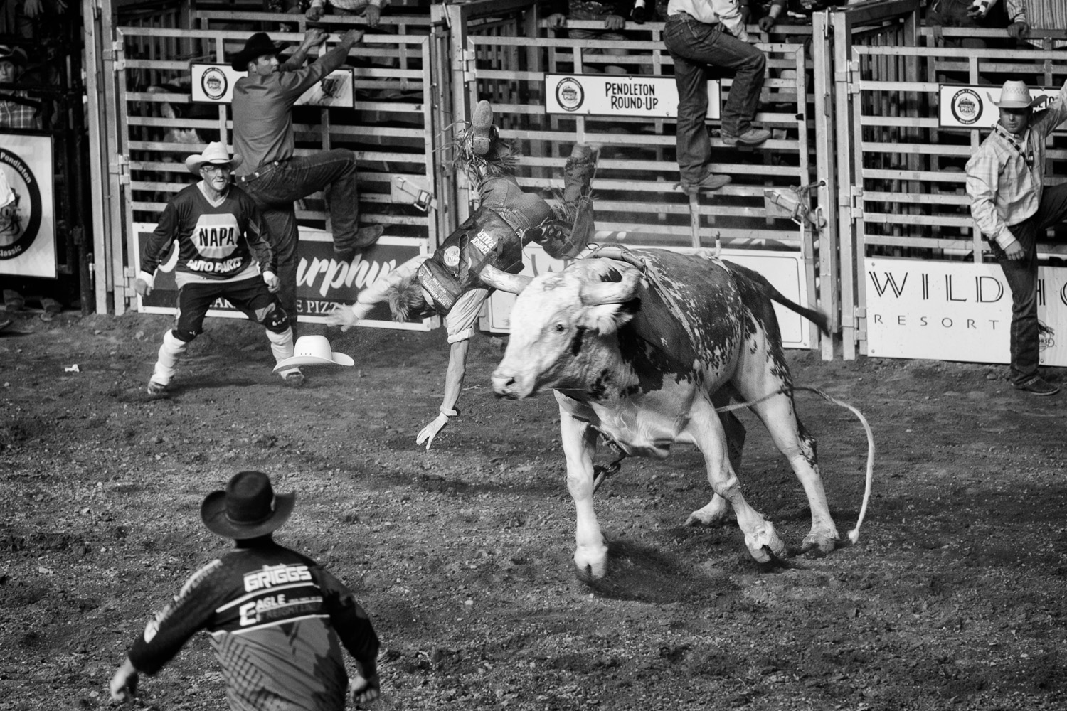  Bull riding, sometimes called “the most dangerous eight seconds in sports,” is a rodeo event whereby a cowboy attempts to ride a bull without being bucked off. A ride only qualifies if the cowboy remains mounted for 8 seconds. 