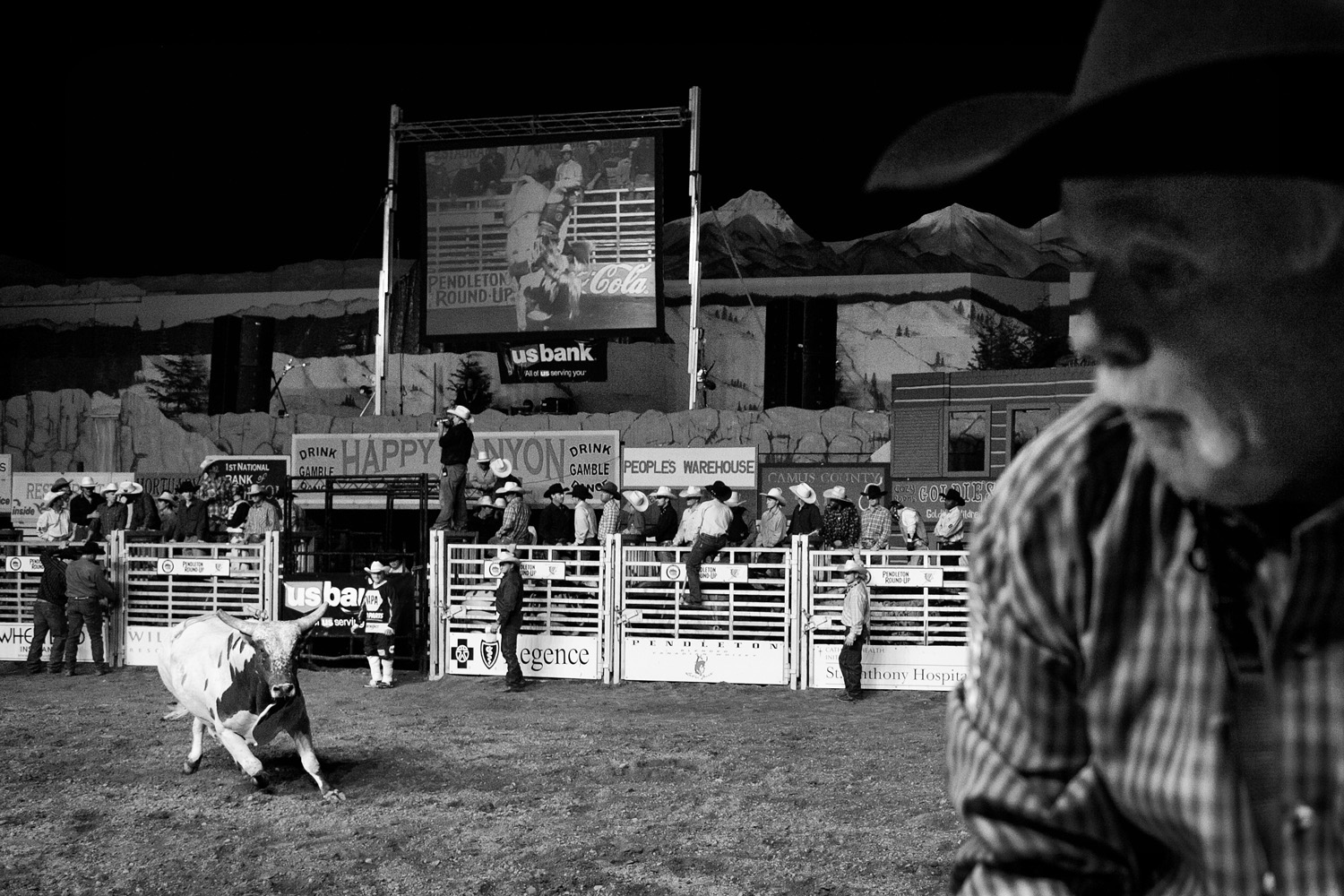  Bulls attack because of trained response, agitation and movement of others around them. During the bull-riding event, rodeo clowns, as well as professional photographers like this man, may attract the bull’s attention. 