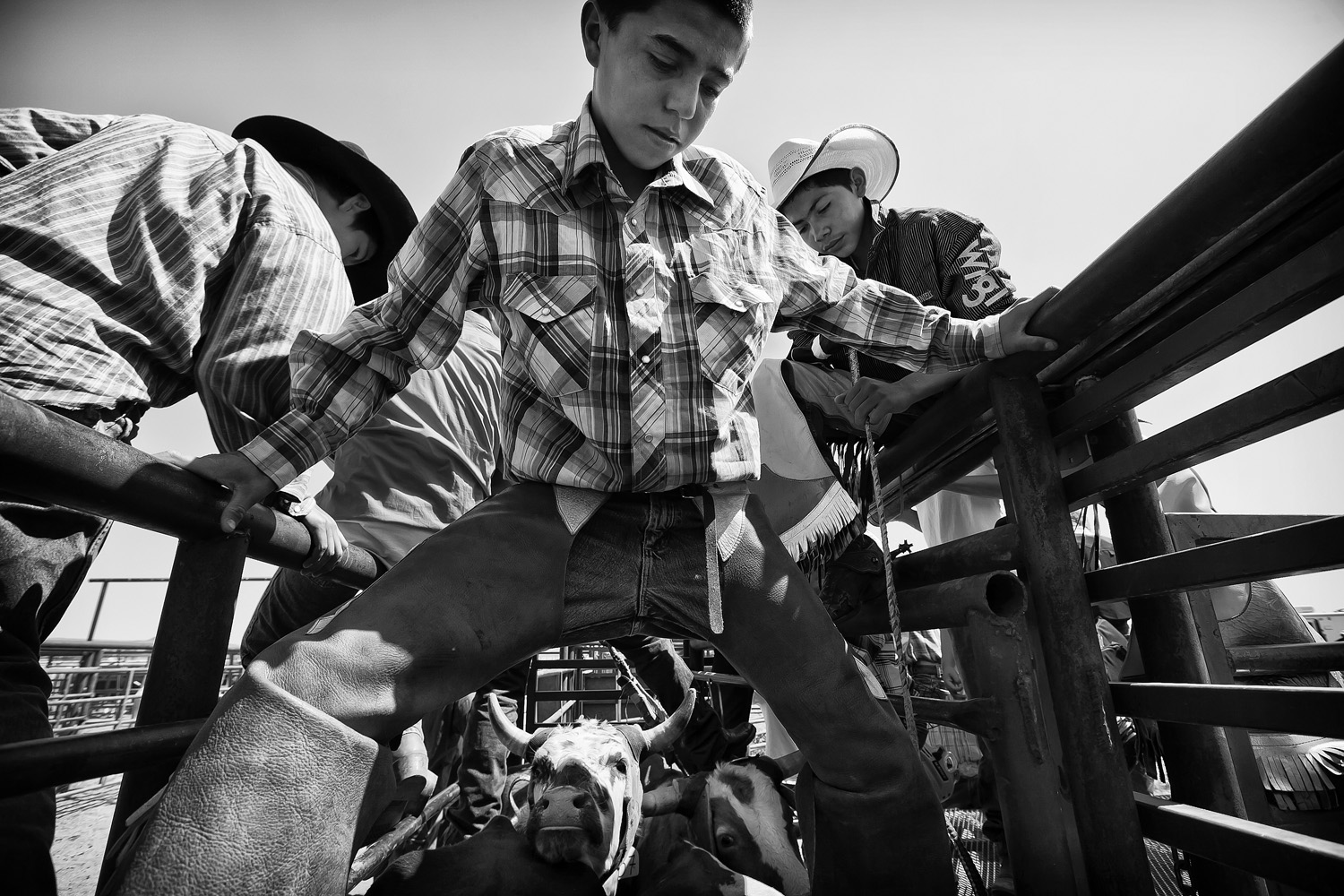  A young Native American cowboy prepares to ride a steer at Crow Agency’s annual powwow and rodeo. Young rodeo participants use steers at an early age in preparation for riding prized bulls in the future. 