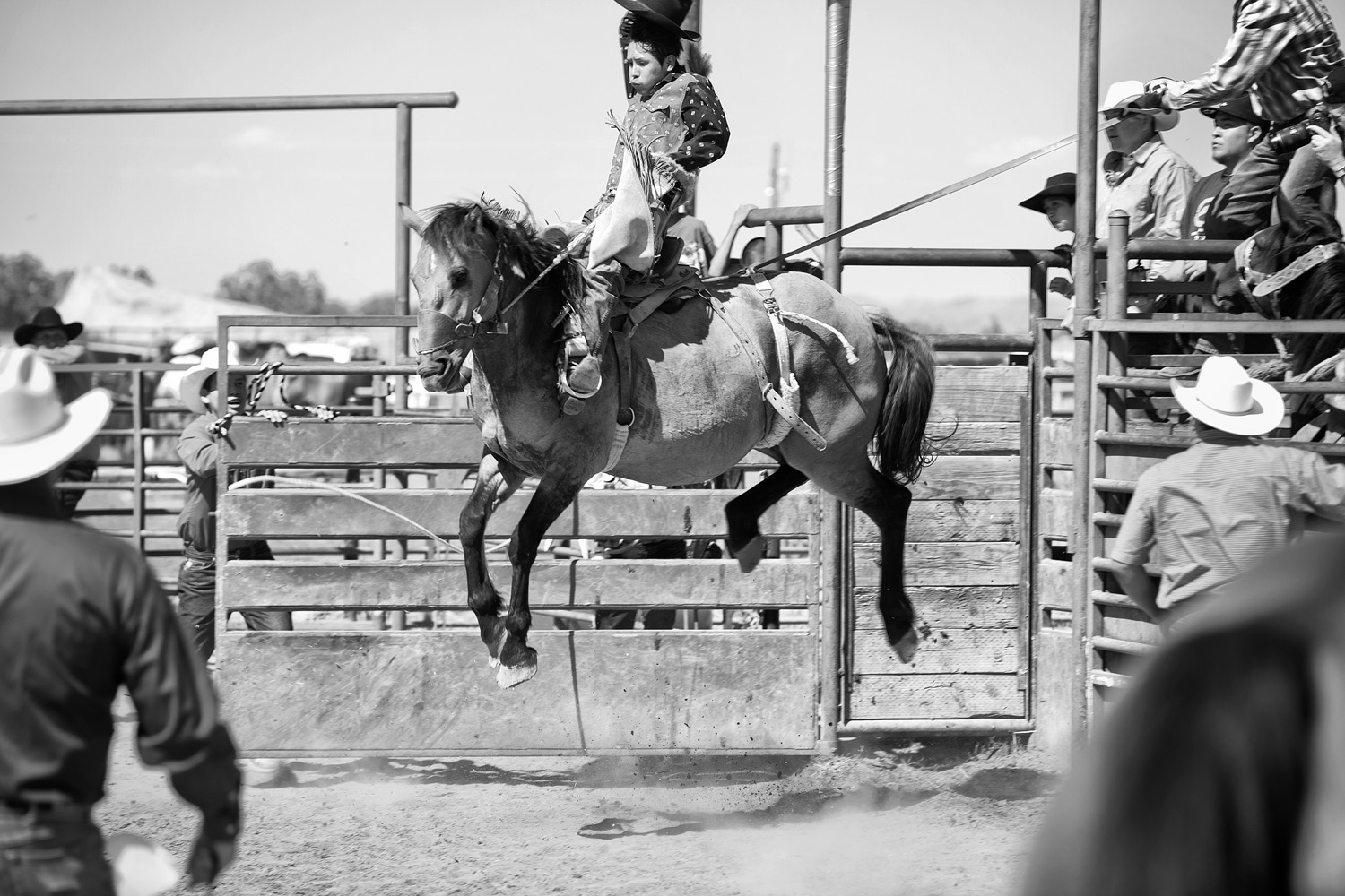  A young cowboy goes airborne during saddle bronc riding, an event whereby two judges each give one score for the cowboy (1-25) and one score for the horse (1-25). A good score is typically in the high 80s. Horses used for this event are usually geld