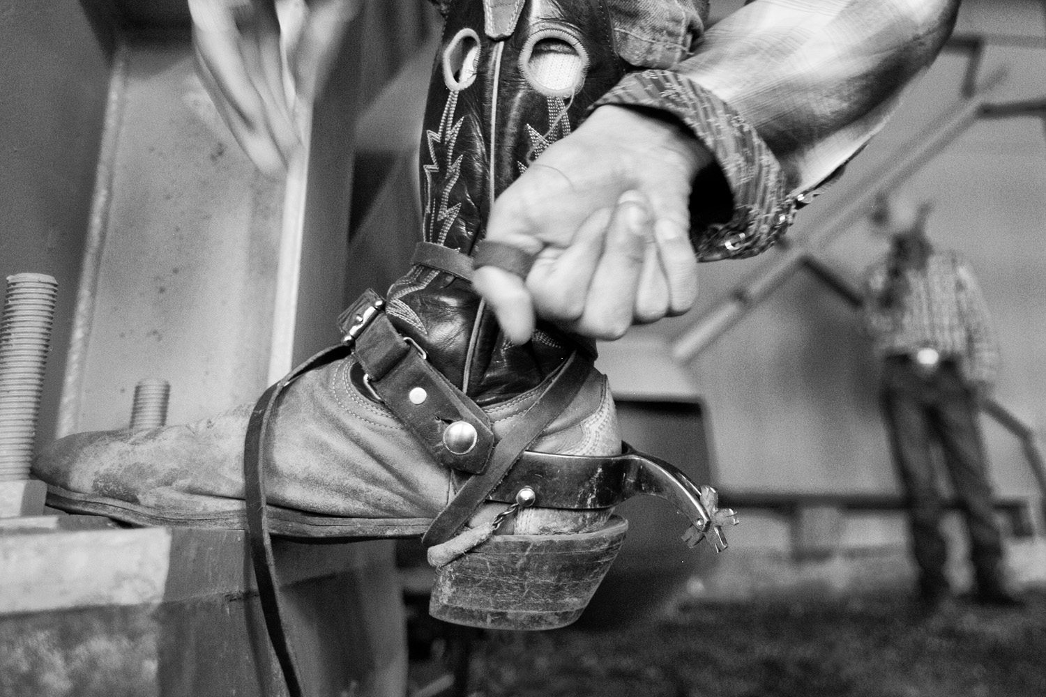 A cowboy tightens the leather lacing that affixes the spurs to his boot. The standard five-point rowel, donned during riding competitions, digs into the livestocks’ torso and encourages the animal to buck. This action results in a “wilder” ride, thus adding to the overall event scoring.