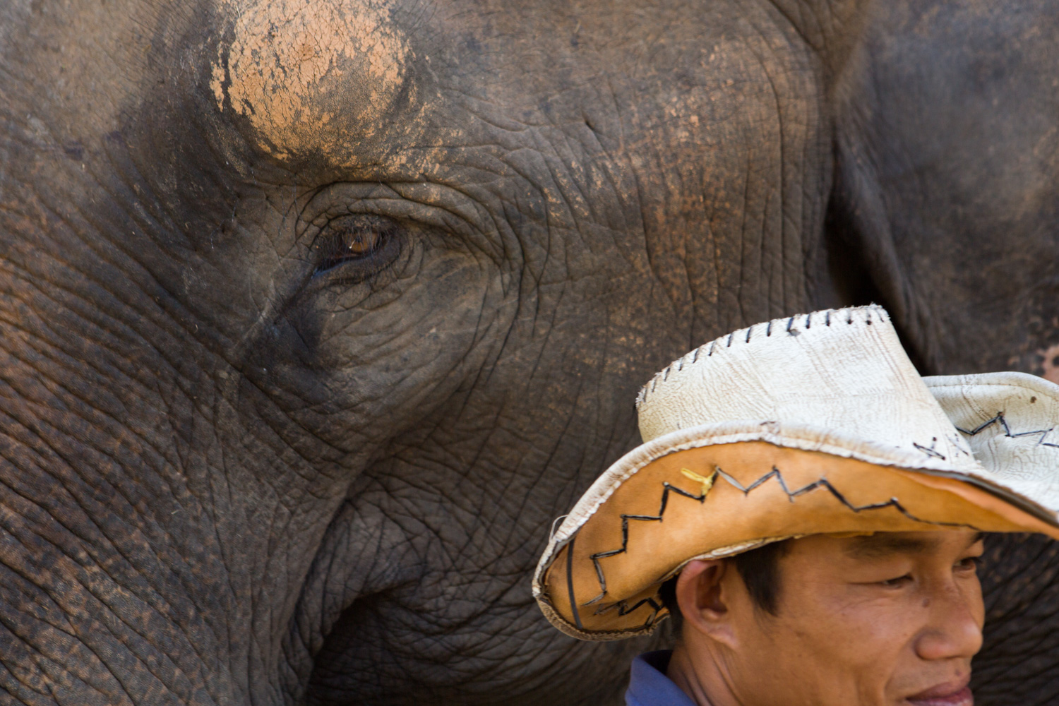 A mahout (trainer) stands near his elephant at the Elephant Conservation Center in Sayaboury, Laos.