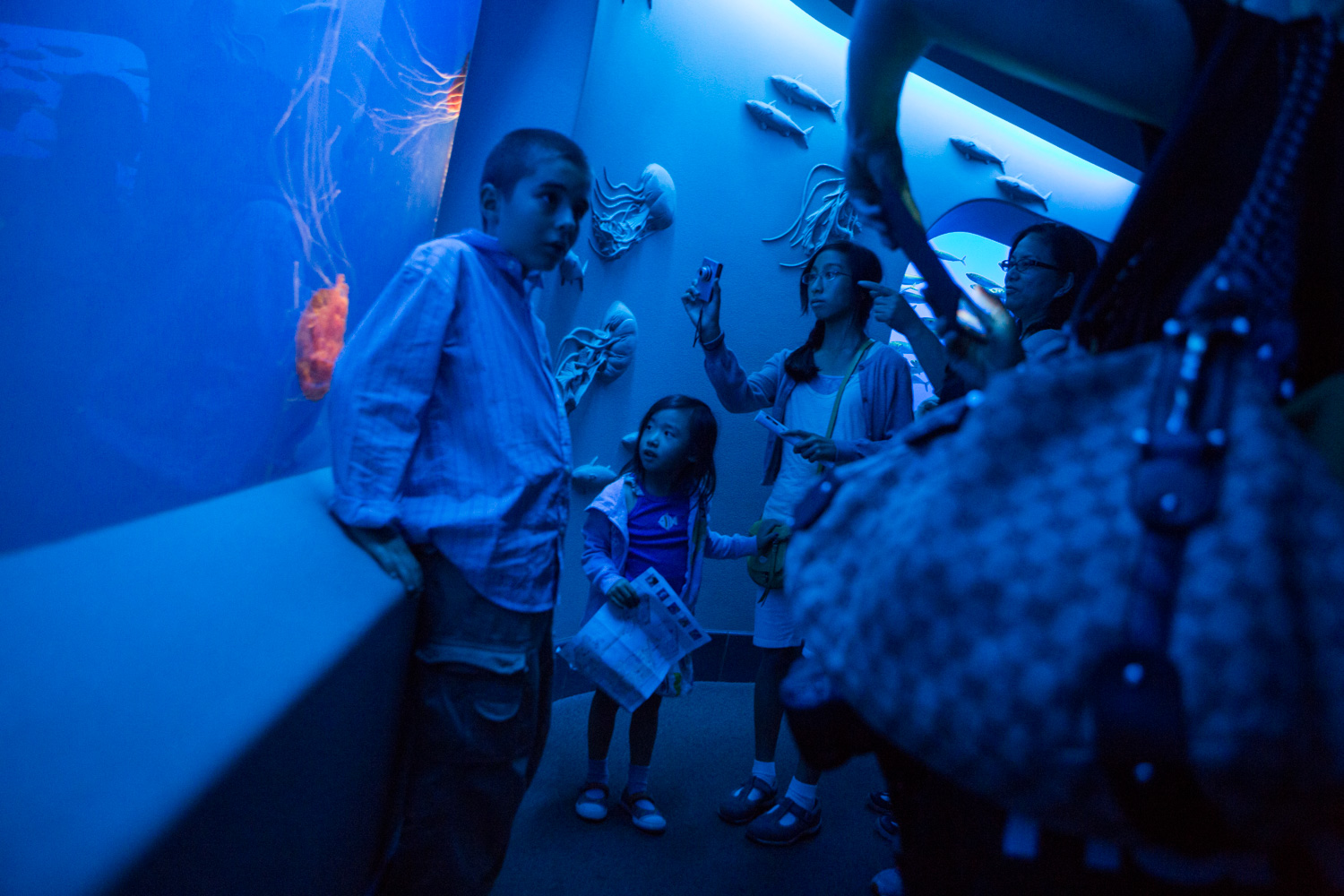 A family observes a jellyfish display at the Monterey Bay Aquarium.