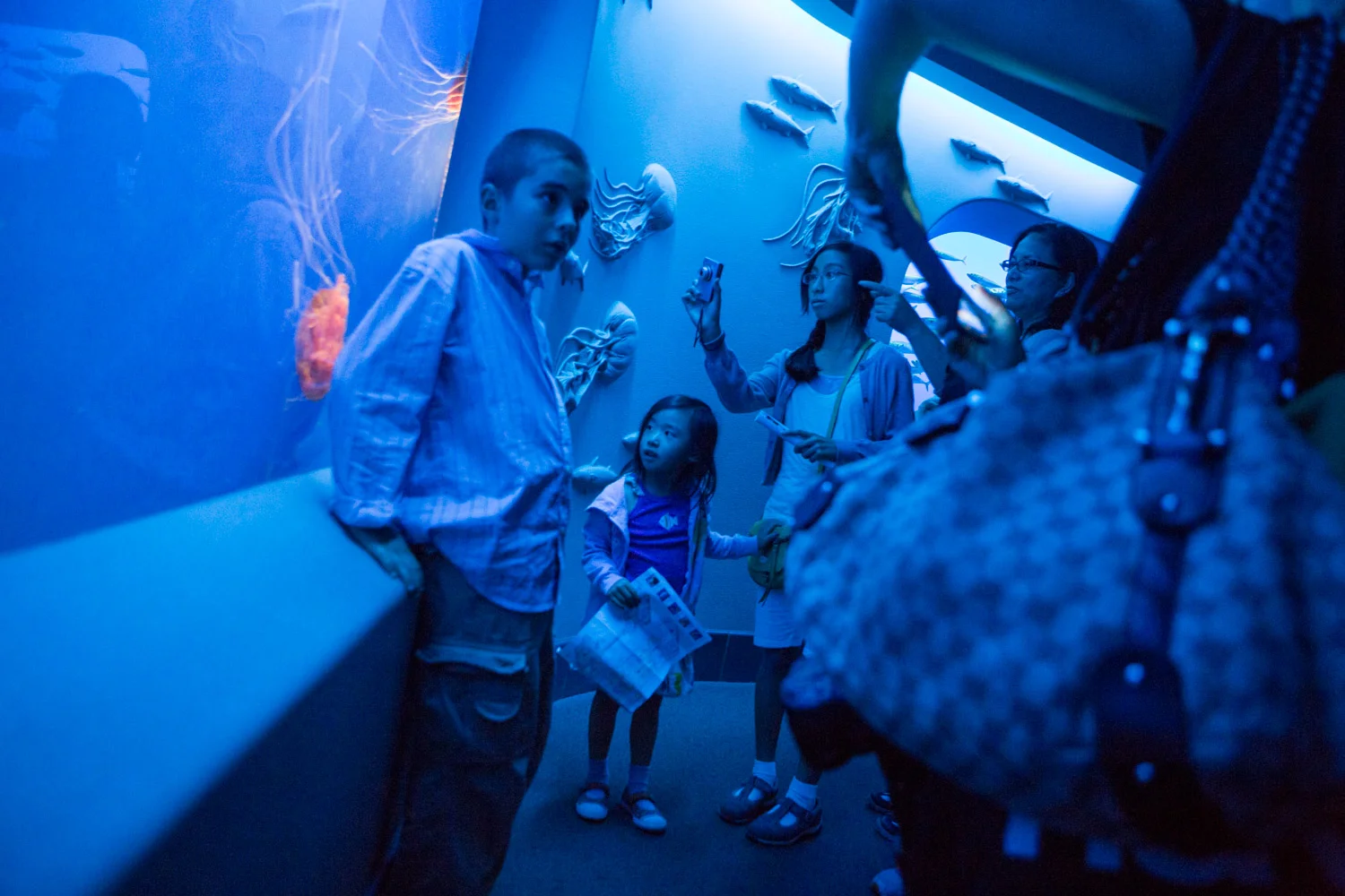 Monterey Bay Aquarium