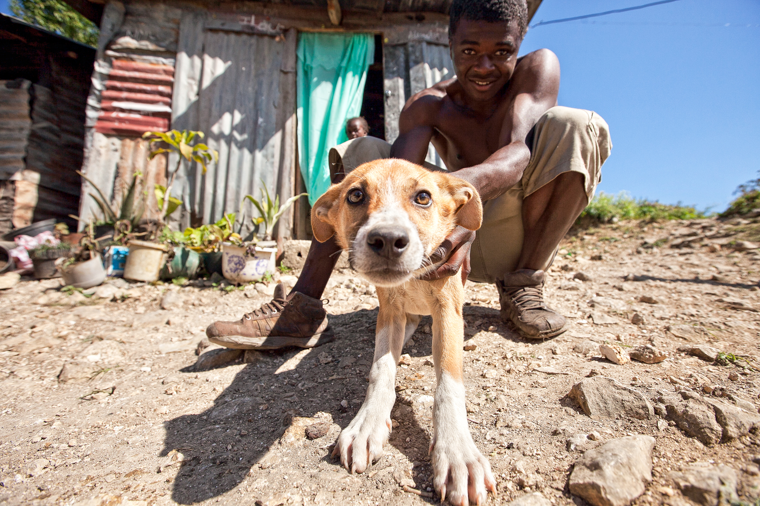  The homes throughout the village are getting larger and families are able to take in pets; animals that usually would remain as strays in the past. 
