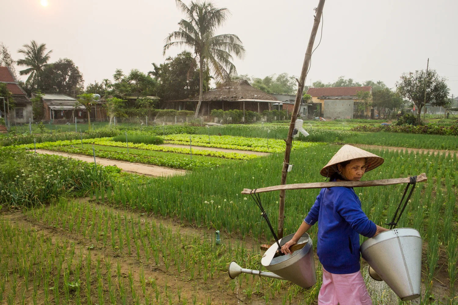 In a Hoi An village, a woman carries two watering cans on her shoulders, as she scans her fields.
