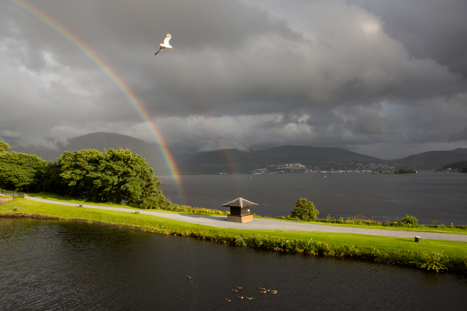  While docked in Scotland's Caledonian Canal sea locks at Corpach, a double rainbow emerged to frame a flying gull and a team of ducks floating in the water. 