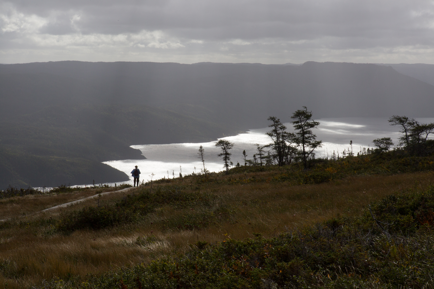  A lone hiker pauses on a boardwalk, which crosses the landscape of Gros Morne National Park (a UNESCO World Heritage Site), and looks towards the nearby mountains and waterways. 