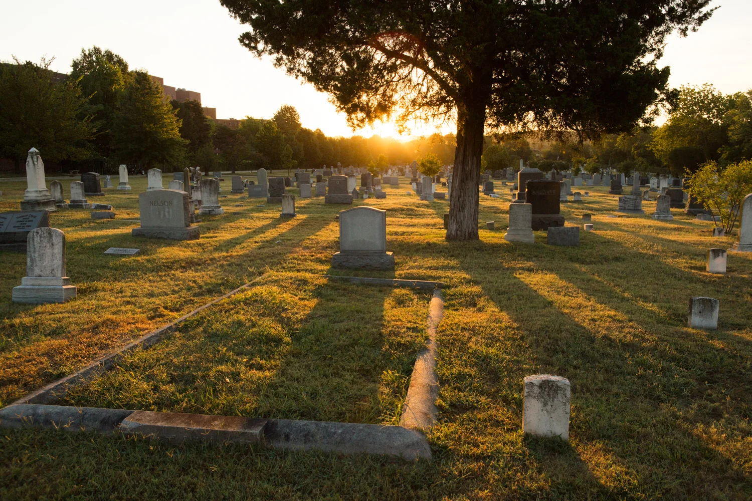 Congressional Cemetery at sunrise
