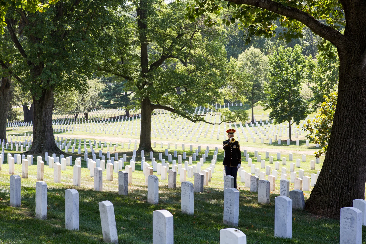 A lone bugler in Arlington National Cemetery