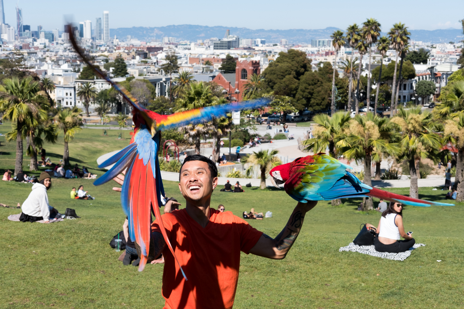  Chan the Bird Man flies his scarlet macaws in San Francisco's Mission Dolores Park. 