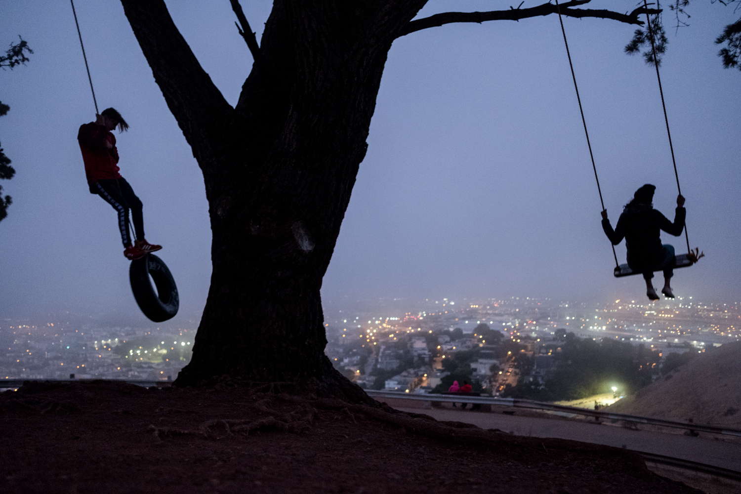  Two people swing under a tree above San Francisco at Bernal Heights. 