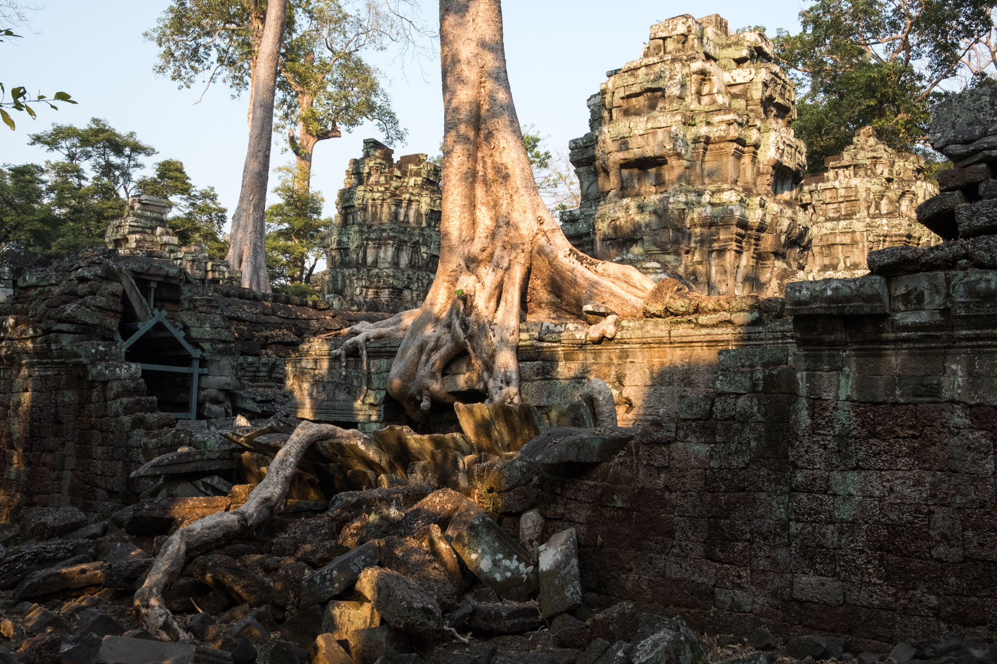  Ta Prohm Temple, Cambodia 