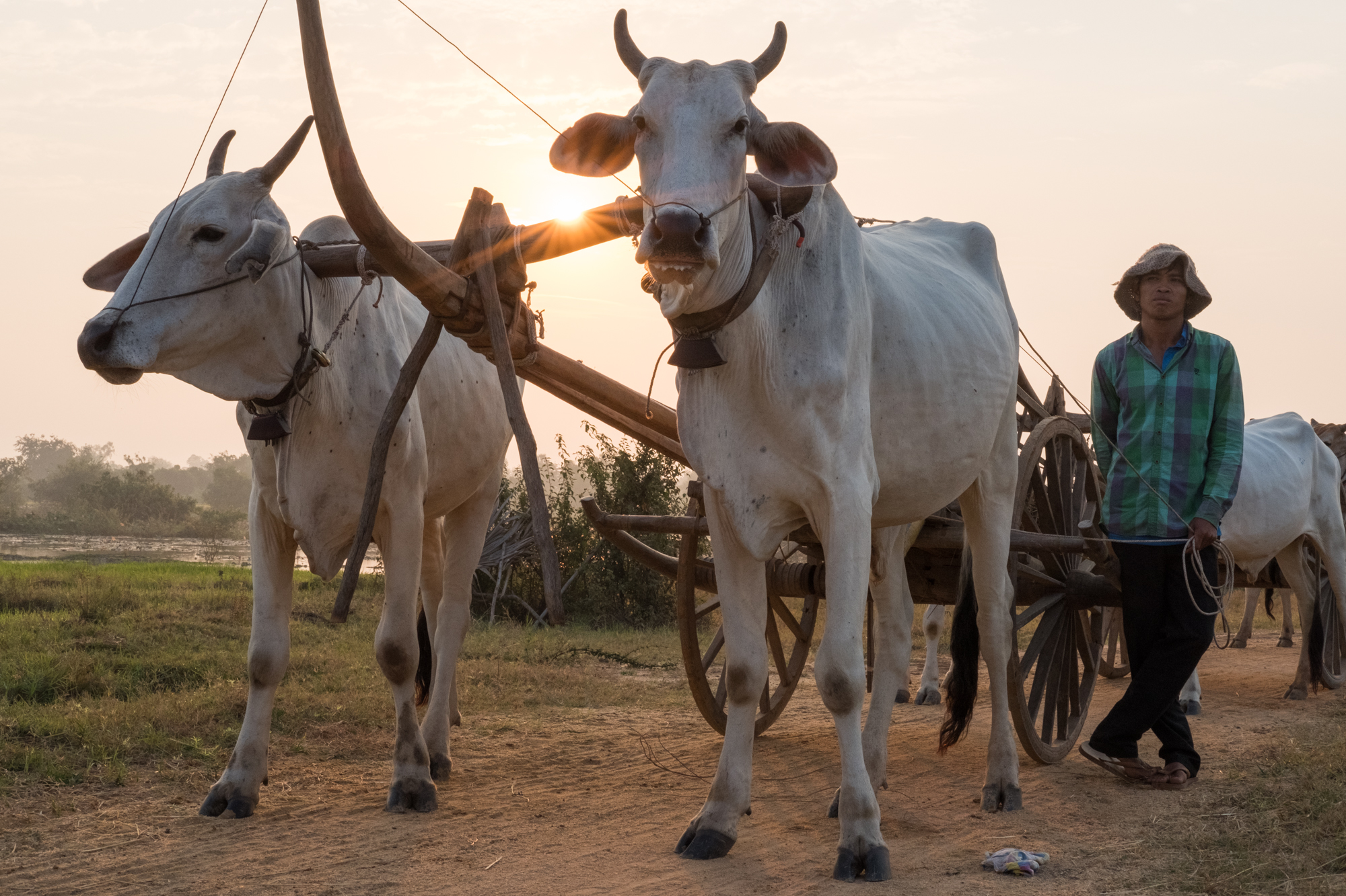  Kampong Tralach village, Cambodia 