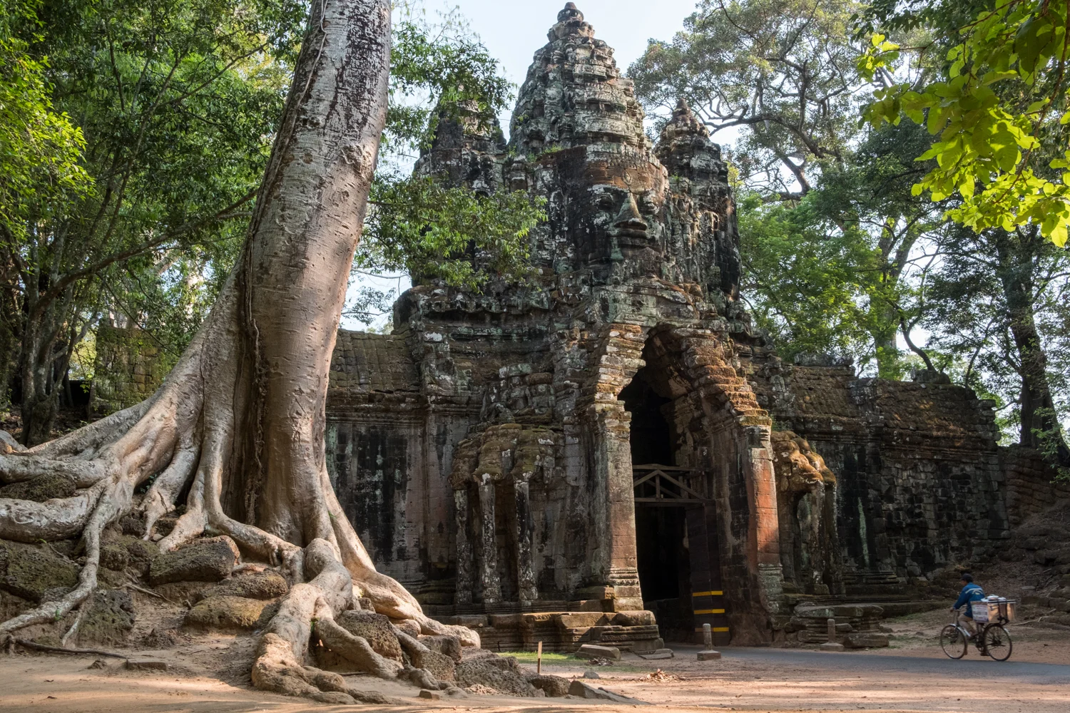 A cyclist rides through the majestic scenery and entrance gate to the Angkor temple complex.