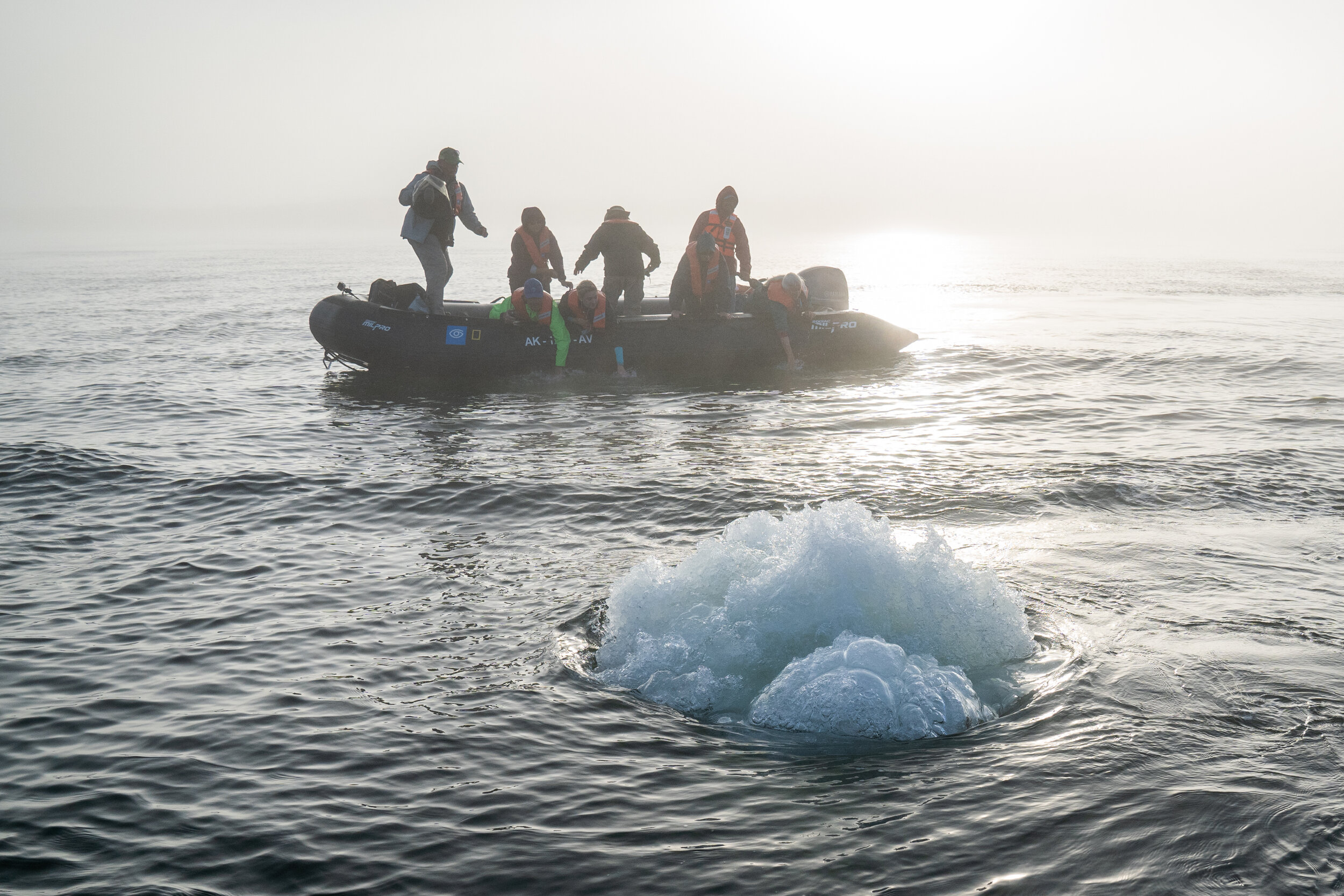 Travelers interact with an adult gray whale in Baja California, Mexico