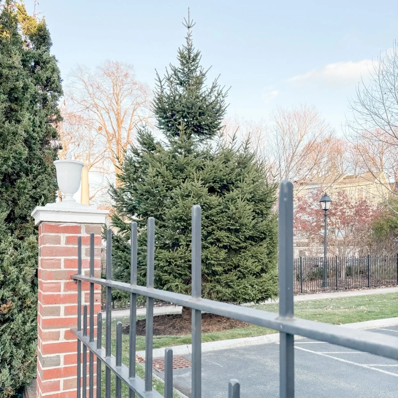 TOMORROW (12/5) at 9 am our online 50/50 ticket website will close&mdash;so get your last minute tickets tonight! 

There will be a limited supply at the tree lighting, while supplies last. May the odds be ever in your favor ✨🎟️