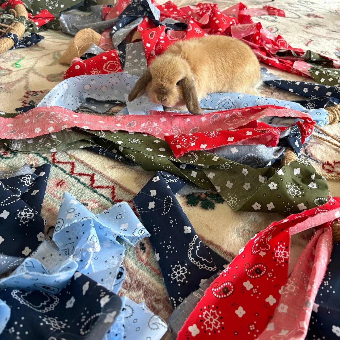 Some bunny is excited about gala decor coming together! We cannot wait to have a rootin' tootin' good time (for a good cause!) on June 6 🤠🤎

If you want to possibly wrangle up some last minute tickets, get your name on our waitlist by emailing merr