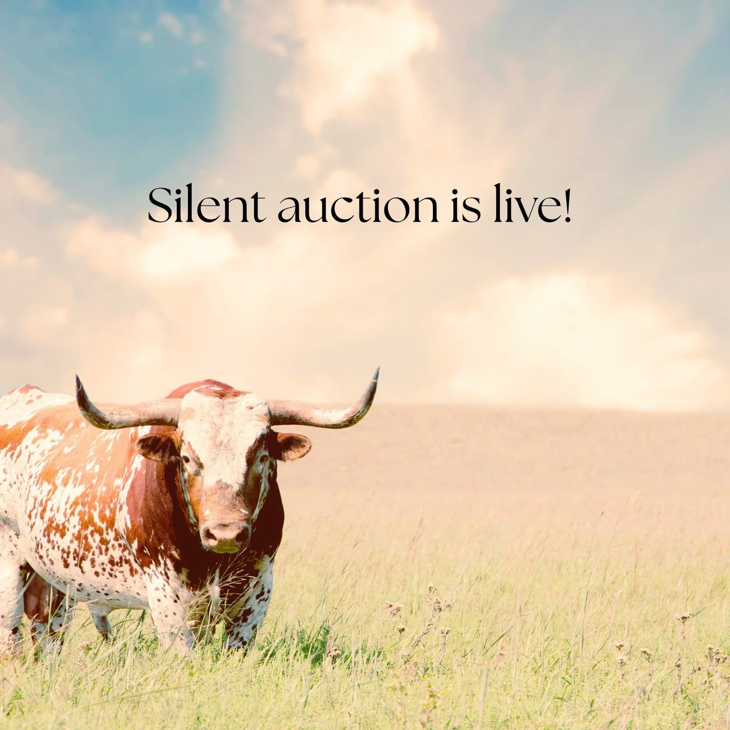 GALA IS ONE WEEK FROM TODAY . . . 

. . . and our auction is LIVE!

Check the link in our bio to see all of our incredible auction items up for grabs (password: 2026). 

We will see everyone on Saturday (June 6, 2026) at our local watering hole @tede