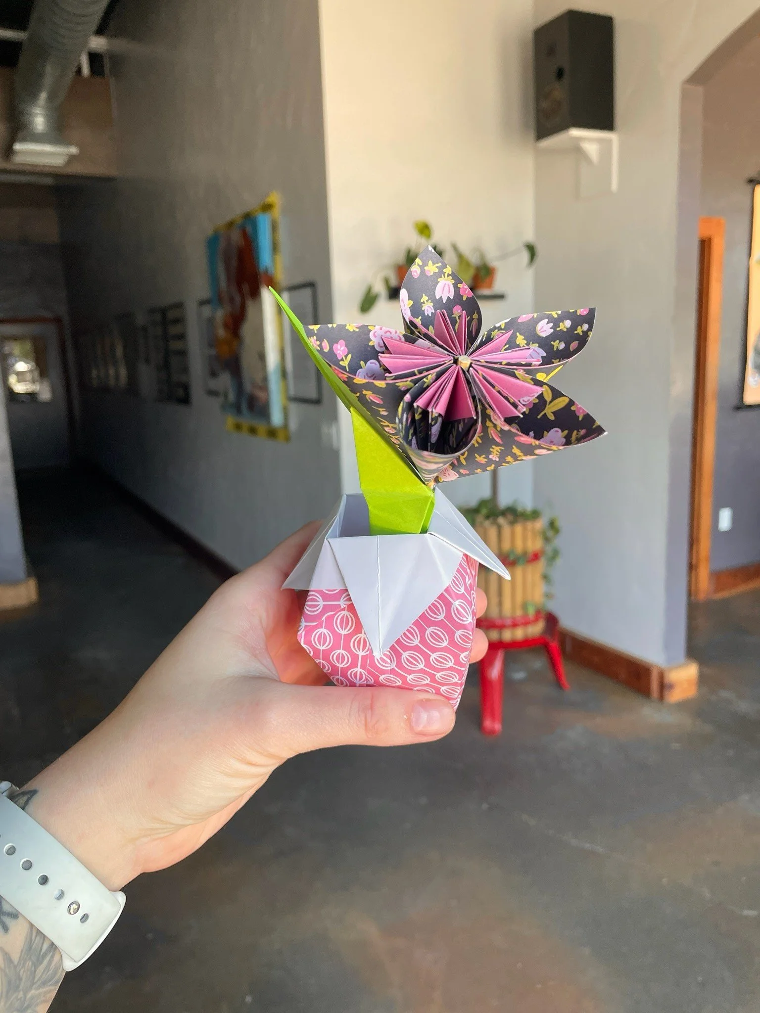 Sip &amp; Fold with Holly!