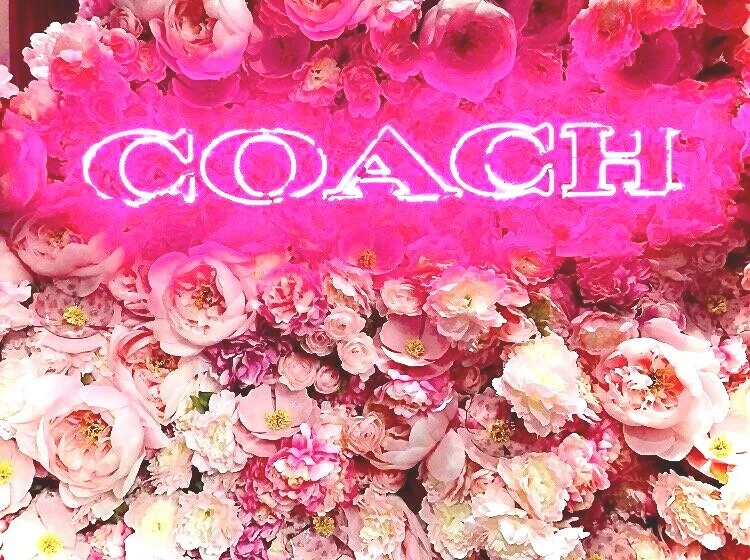 2019-04-27 01.33.37 2.JPG