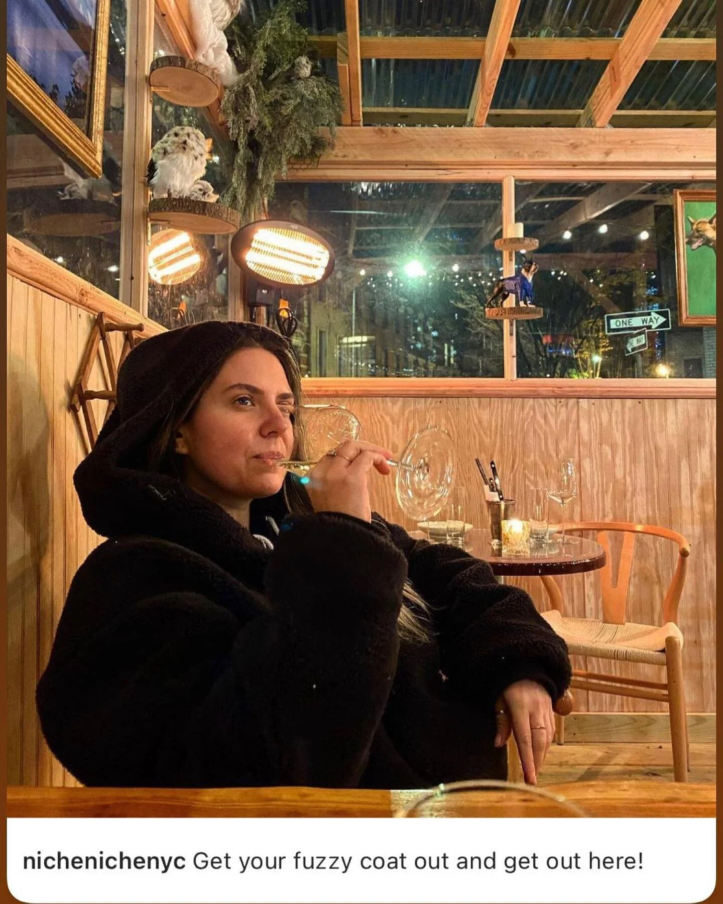 Gettin cozy in the @nichenichenyc alps 🤍⛷🦉❄️