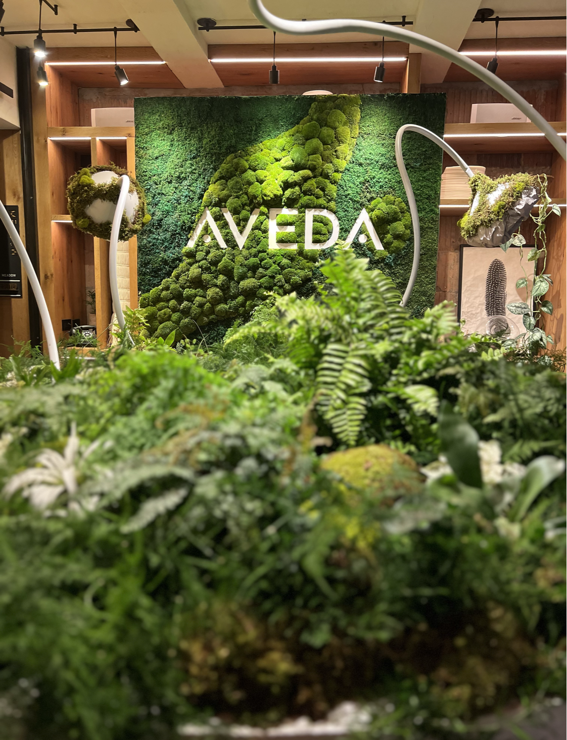 Screenshot 2026-01-20 at 1.02.21 PM.png