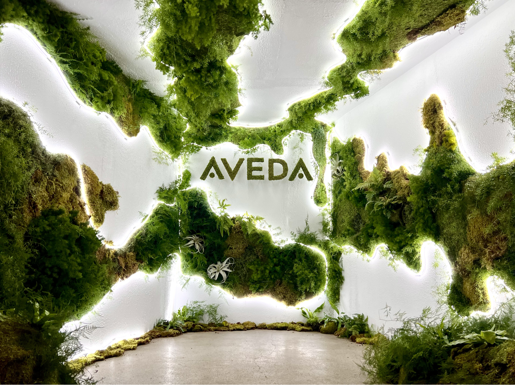 Screenshot 2026-01-20 at 1.02.46 PM.png