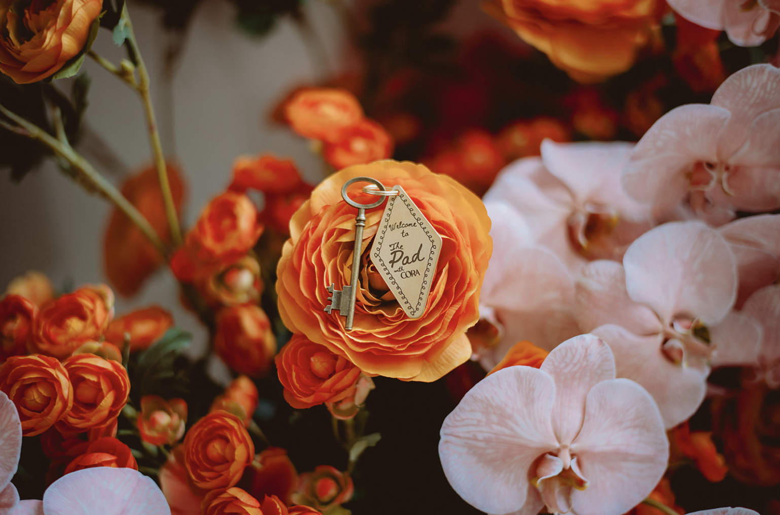 Screenshot 2026-01-20 at 1.29.01 PM.png