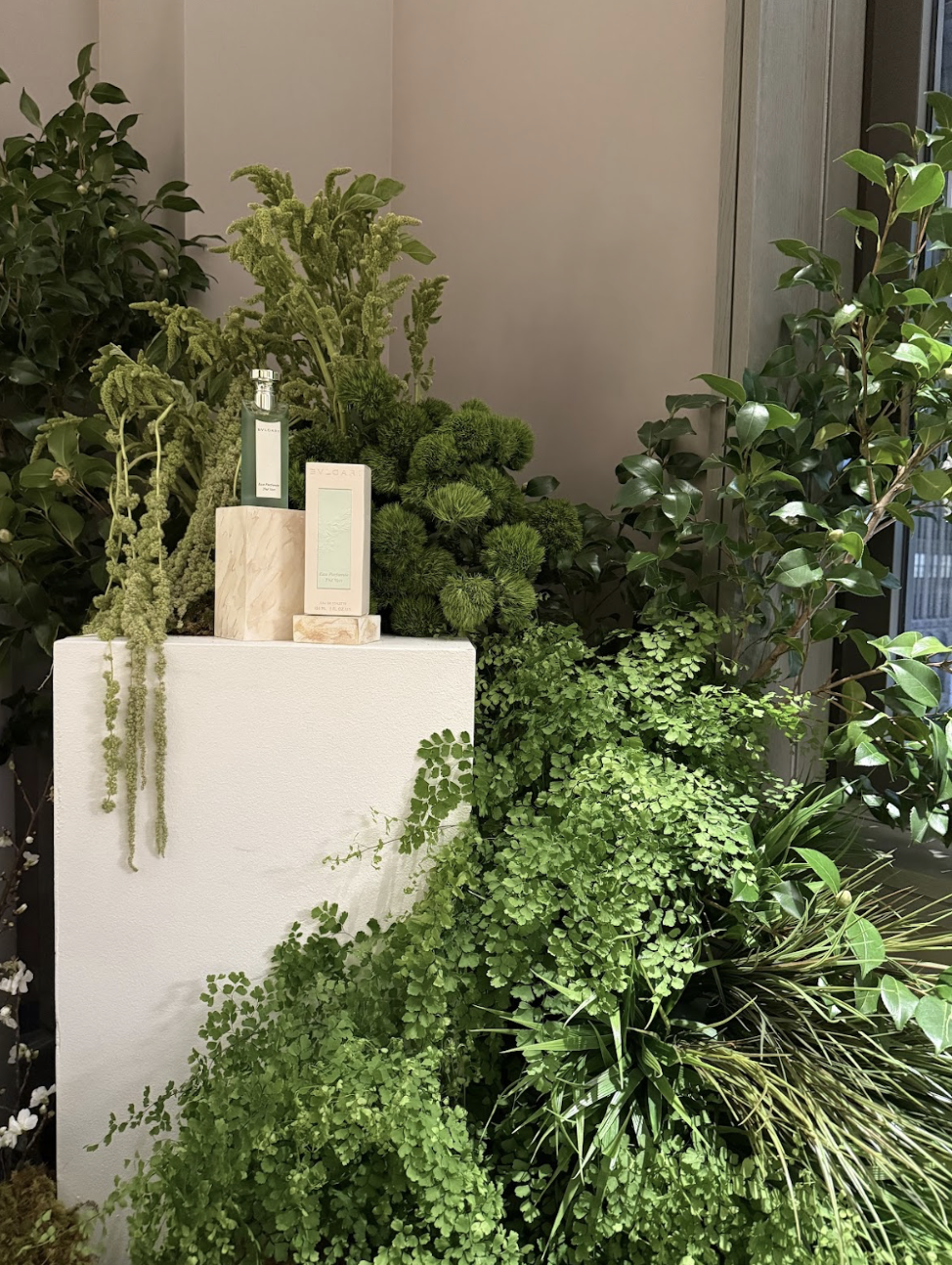 Screenshot 2026-01-20 at 3.02.23 PM.png