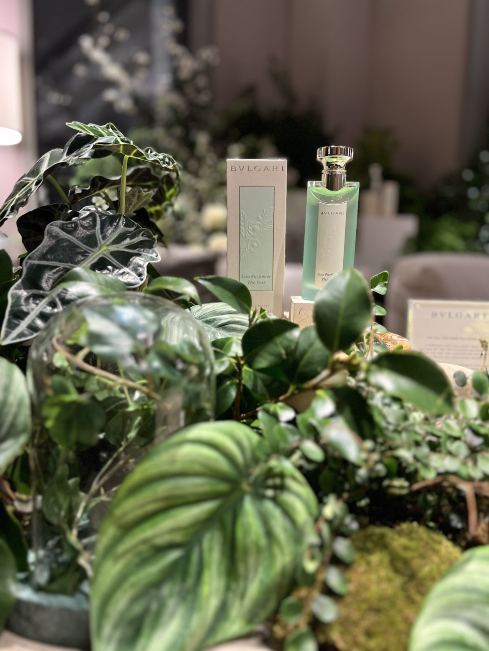 Screenshot 2026-01-20 at 3.02.34 PM.png