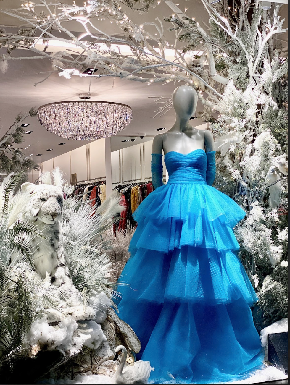 Screenshot 2026-01-20 at 5.01.18 PM.png