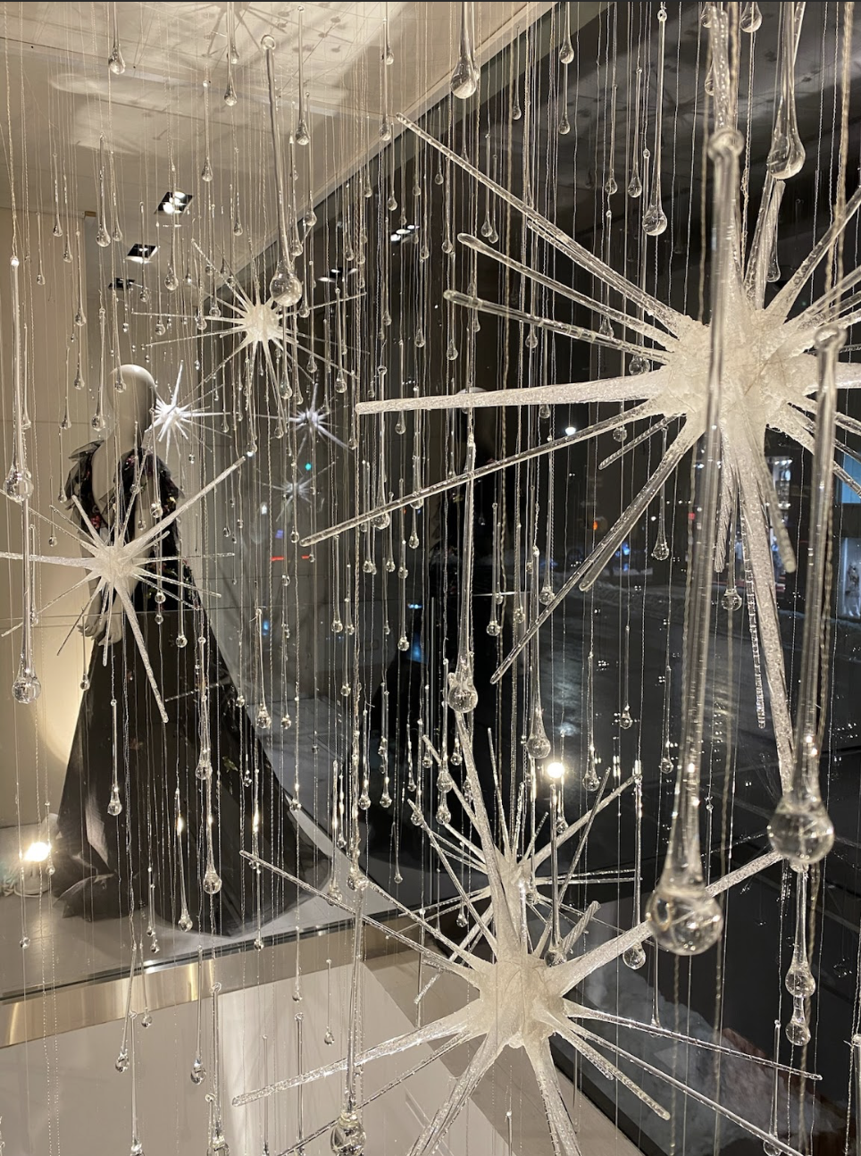 Screenshot 2026-01-20 at 5.01.32 PM.png