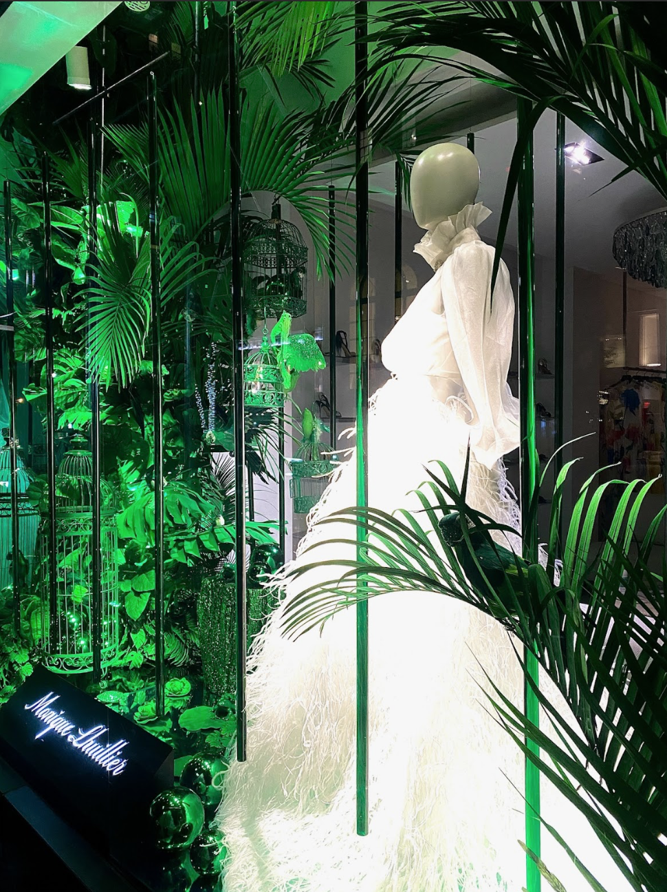 Screenshot 2026-01-20 at 5.03.54 PM.png