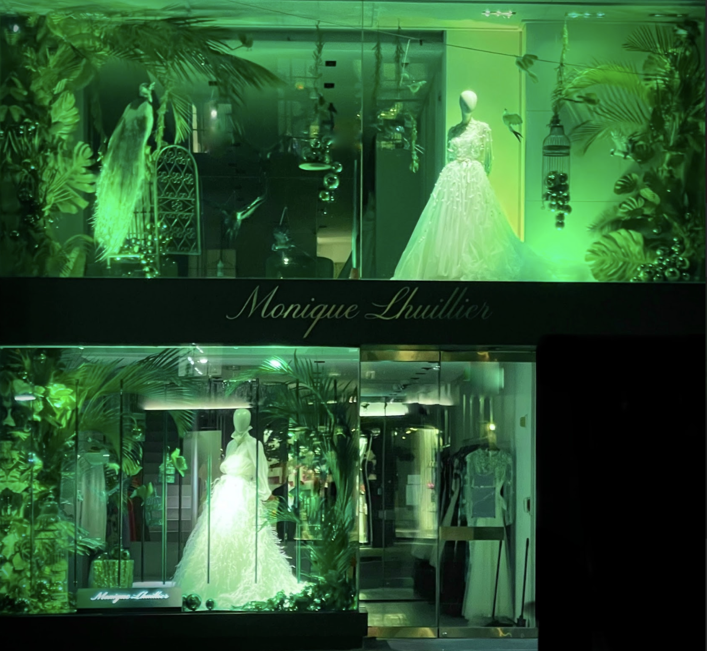 Screenshot 2026-01-20 at 5.04.06 PM.png