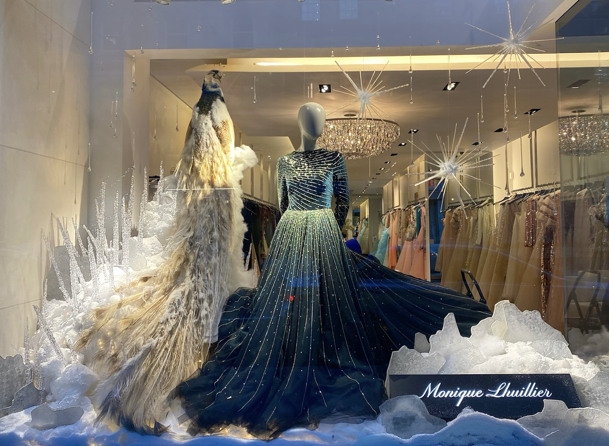 Screenshot 2026-01-20 at 5.09.06 PM.png