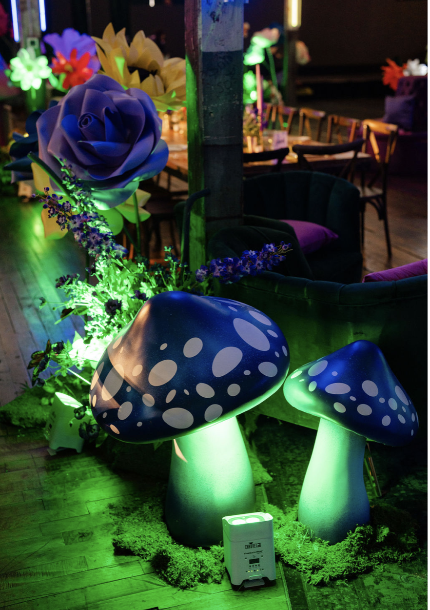 Screenshot 2026-01-20 at 8.14.13 PM.png