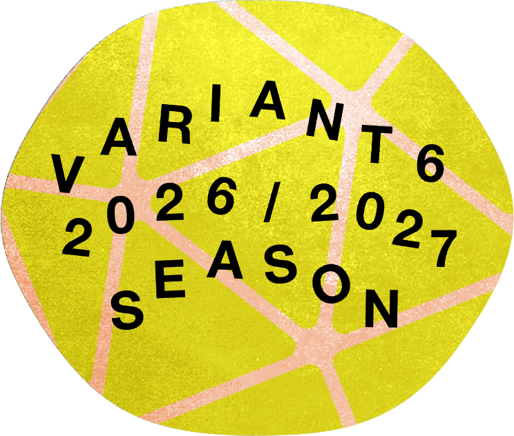 Variant 6