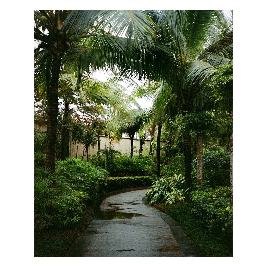 SANYA_1.jpg