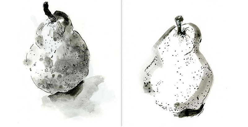   PEARS,&nbsp; pen, ink, wash 