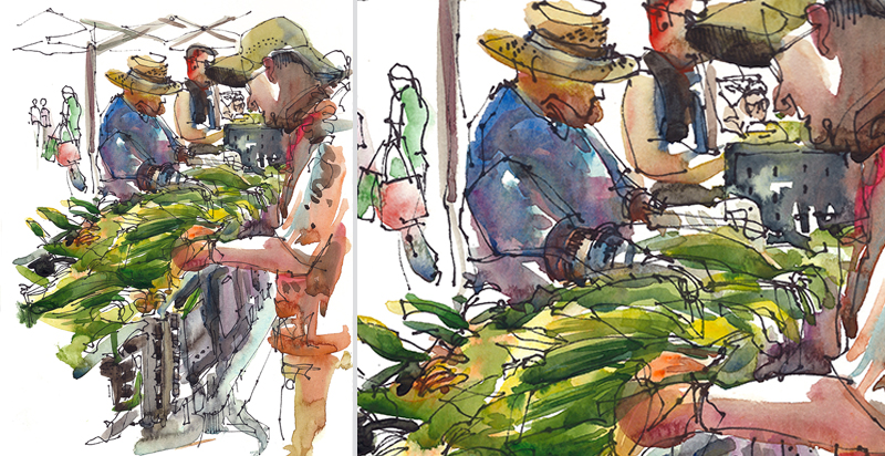   SUMMERTIME AT THE FARMER'S MARKET,&nbsp;  CALIFORNIA, &nbsp; watercolor, pen &amp; ink 