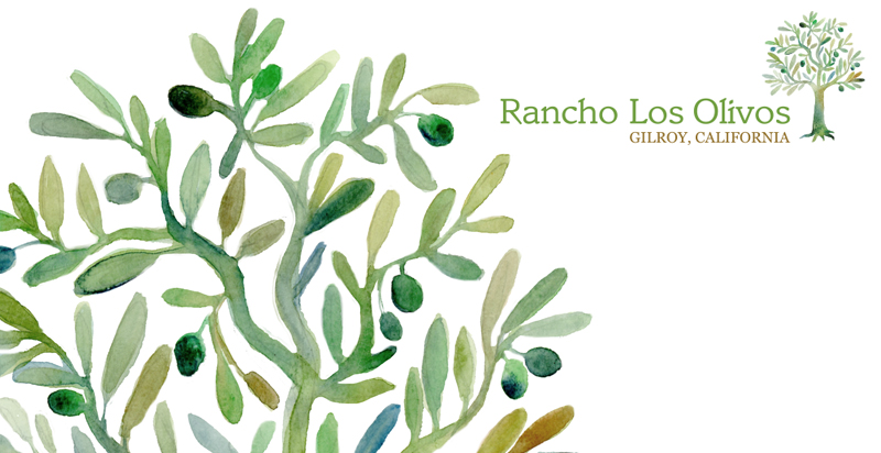   LOGO ILLUSTRATION ,&nbsp; RANCH LOS OLIVOS,&nbsp; Created for Articulate Solutions, Inc., Gilroy, California    