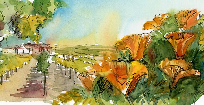   ILLUSTRATION FOR WEBSITE ,&nbsp; RANCH LOS OLIVOS,&nbsp; Created for Articulate Solutions, Inc., Gilroy, California 