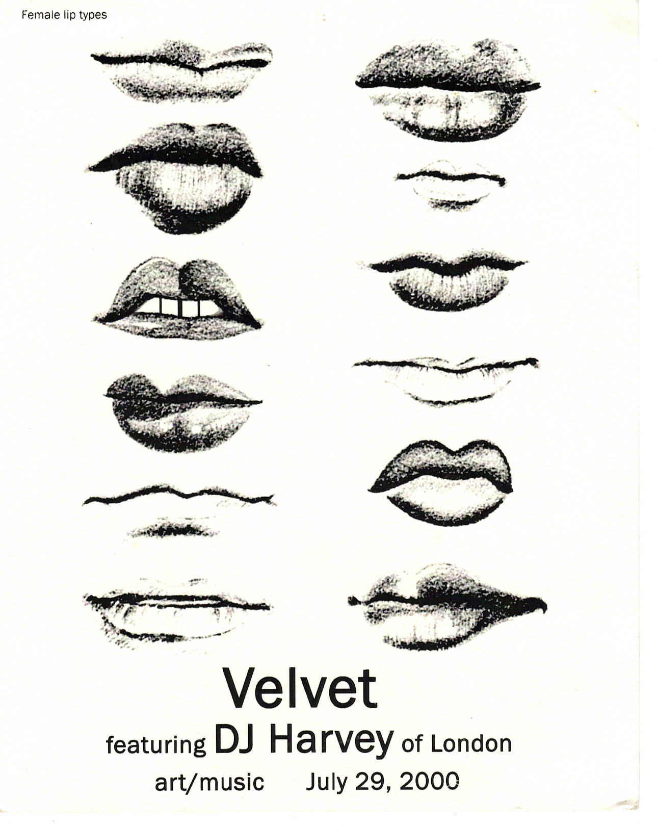 Velvet3.jpeg